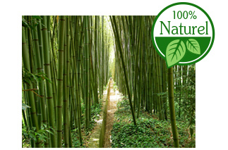 Paille gravée 100% naturelle en bambou