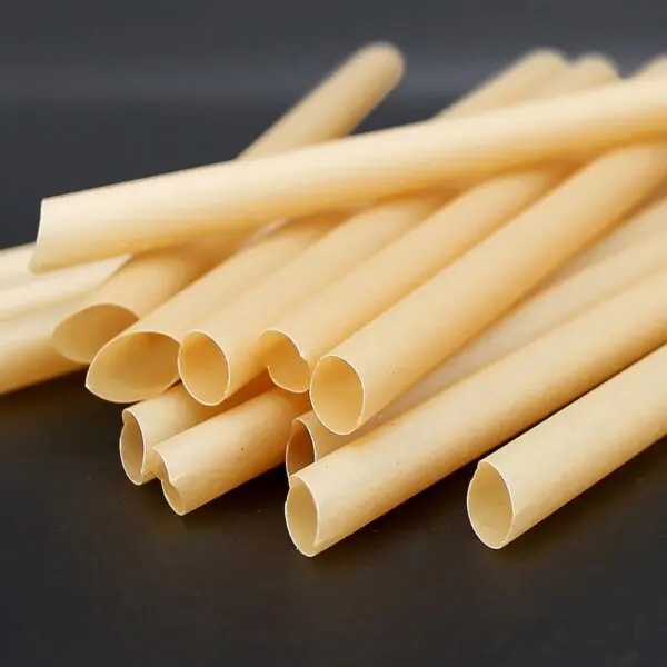 canne a sucre PART L 20 CM D 12 MM