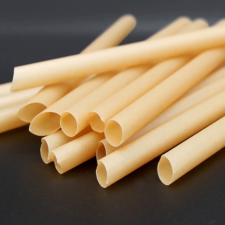 canne a sucre PART L 20 CM D 12 MM
